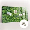 tulup.si Magnetna tabla Gozd iz ptičje perspektive 120x60 cm