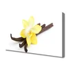 tulup.si Slika na platnu Vanilla rastlin narava 100x50 cm
