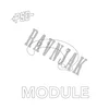 PSE Modules Pair Twin Turbo