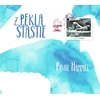 Pavol Hammel Z Pekla Štastie (CD)