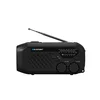 Blaupunkt Emergency Radio ER10 (ER10)