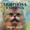 Thomas Wydler & Toby Dammit - Morphosa Harmonia (Reissue) (Box Set) (180 g) (LP)