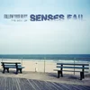 Senses Fail - Follow Your Bliss: The Best Of Senses Fail (Limited Edition) (Transparent Blue Coloured) (2 LP)