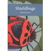 Shieldbugs