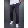Denistar Muške pantalone 100-2737, Regular, Teget