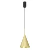 Luster na sajli CAPITAL 1xGX53/15W/230V prečnik 17 cm zlatni