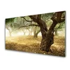 tulup.si Steklena slika Tree grass nature 140x70 cm 2 obešalnika