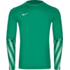 Nike Dres z dolgimi rokavi Dri-FIT Park V Long Sleeve Goalkeeper