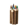 AtmoWood Lesene barvice 12 barv