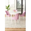 Hanah Home Set Trpezarijski sto i 4 stolice, Belo-roze