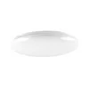 LED stropno svetlo za kupatilo PIRIUS LED/17W/230V prečnik 33 cm IP44
