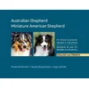 Australian Shepherd, Miniature American Shepherd