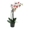 Dekordom Cvet u saksiji orchid 50cm 51344-7 - pink - nnt ( 040064 )