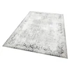 Conceptum Hypnose tepih 80x150cm Šaren