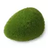 DEKORACIJA AQUA DELLA MOSS BALL-LARGE