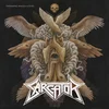 Sarcator - Swarming Angels & Flies (High Quality) (180 g) (LP)