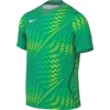 Nike Dres Dri-FIT Gardien VI Goalkeeper