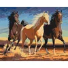 Rayher. Slikanje po številkah, Horses, 40x50 cm