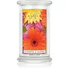 Kringle Candle Classic Sunshine & Daisies dišeča sveča 623 g