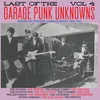 Various Artists - Last Of The Garage Punk Unknowns Vol 4 (LP)