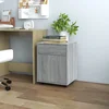Vidaxl Omarica na kolesih 45x38x54 cm iverna plošča