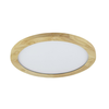 LED PLAFONJERA