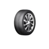Aptany RC536 ( 205/55 ZR17 95W XL )