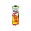 DANA PIJAČA TROPICAL 1L