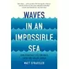 Waves in an Impossible Sea