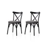 Hanah Home Set stolica Ekol-291 V2, 60x50x98 cm, 2 komada, Tamnosive