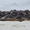 Carta - The Sand Collectors Dream (LP)