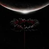 WARNER Muse - LP/Wow! Signal, (5000278944)