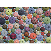 PIATNIK Morski ježki Puzzle 1000 kosov