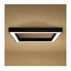 LED plafonsko svetlo LED/130W/230V 3000/4000/6500K 100x100 cm crno