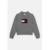 TOMMY HILFIGER Pulover mornarska/temno siva/rdeča/bela