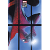 Marvel PLAKAT MARVEL SPIDER-MAN 80 LET, (20837196)