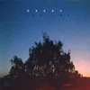 Orcas - Yearling (LP)