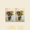 Emmy The Great - April/?? (LP)