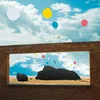Admiral Fallow - First Of The Brids (Yellow Coloured) (LP)