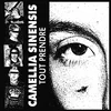 Camellia Sinensis - Tout Prendre (Gatefold Sleeve) (LP)