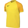Nike Dres Dri-FIT Trophy VI Kids