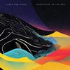 Tears Run Rings - Everything In The End (2 LP)