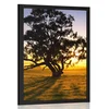 Plakat samotno drevo ob sončnem zahodu - 30x45 silver