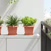 Saksije za biljke 24 pcs Crvena cigla 20 x 20 x 16 cm Plastika
