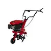 EINHELL Motorna kopačica GC-MT 2536