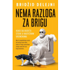 Nema razloga za brigu - Bridžid Delejni ( H0195 )