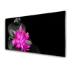 tulup.si Slika na akrilnem steklu Flower črna stones 125x50 cm 2 obešalnika