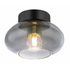 Globo 15572D - Plafonsko svetlo SHAUN 1xE27ILLU/40W/230V crna