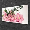tulup.si Slika na akrilnem steklu Orhideje spa 100x50 cm 2 obešalnika