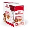 Royal Canin Medium Adult 10x140g – Vlažna hrana za pse